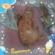 ヒメ日記 2025/07/26 11:01 投稿 晴山るな 熟女デリヘル倶楽部