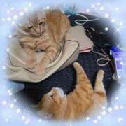 ヒメ日記 2025/07/30 19:35 投稿 晴山るな 熟女デリヘル倶楽部