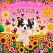 ヒメ日記 2025/08/09 17:01 投稿 晴山るな 熟女デリヘル倶楽部