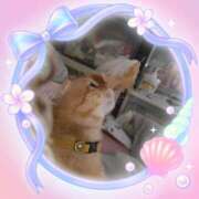 ヒメ日記 2025/08/28 07:45 投稿 晴山るな 熟女デリヘル倶楽部