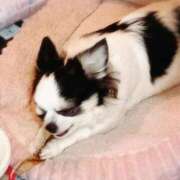 ヒメ日記 2025/10/18 08:50 投稿 晴山るな 熟女デリヘル倶楽部