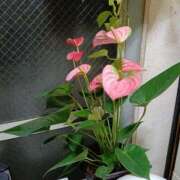 ヒメ日記 2025/11/14 19:57 投稿 晴山るな 熟女デリヘル倶楽部