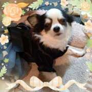 ヒメ日記 2025/11/18 01:11 投稿 晴山るな 熟女デリヘル倶楽部