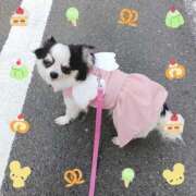 晴山るな 明日出勤致しますm(_ _)m 熟女デリヘル倶楽部