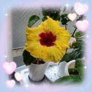 ヒメ日記 2025/12/07 20:58 投稿 晴山るな 熟女デリヘル倶楽部