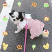 ヒメ日記 2026/02/13 05:30 投稿 晴山るな 熟女デリヘル倶楽部