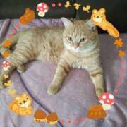 晴山るな おはようございます(*^^*) 熟女デリヘル倶楽部