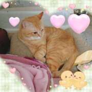 晴山るな おはようございますヽ(*'▽'*)ﾉ 熟女デリヘル倶楽部