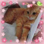 晴山るな 出勤しています(*^^*) 熟女デリヘル倶楽部