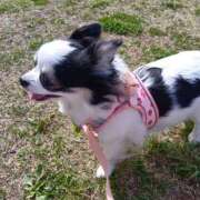 ヒメ日記 2026/04/16 09:40 投稿 晴山るな 熟女デリヘル倶楽部