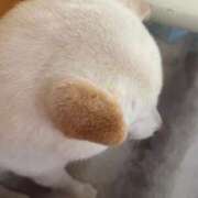 ヒメ日記 2025/07/11 20:18 投稿 真琴 多恋人倶楽部（山口）