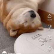 ヒメ日記 2025/07/13 10:18 投稿 真琴 多恋人倶楽部（山口）