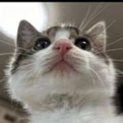 ヒメ日記 2025/07/13 10:28 投稿 真琴 多恋人倶楽部（山口）