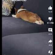 ヒメ日記 2025/07/13 10:36 投稿 真琴 多恋人倶楽部（山口）