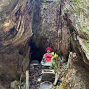 ヒメ日記 2025/07/13 21:25 投稿 真琴 多恋人倶楽部（山口）