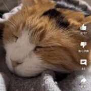 ヒメ日記 2025/07/19 11:13 投稿 真琴 多恋人倶楽部（山口）