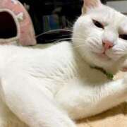 ヒメ日記 2025/08/01 05:42 投稿 真琴 多恋人倶楽部（山口）