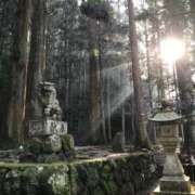 ヒメ日記 2026/02/15 10:01 投稿 真琴 多恋人倶楽部（山口）