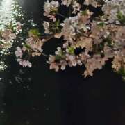 ヒメ日記 2026/06/07 07:29 投稿 真琴 多恋人倶楽部（山口）