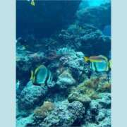 ヒメ日記 2025/06/10 15:01 投稿 つかさ 石亭