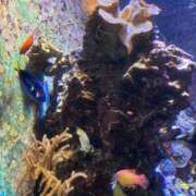 ヒメ日記 2025/06/19 18:24 投稿 つかさ 石亭