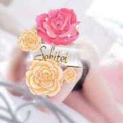 ヒメ日記 2025/09/22 09:45 投稿 つかさ 石亭