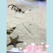 ヒメ日記 2025/12/17 12:13 投稿 つかさ 石亭