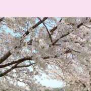 ヒメ日記 2026/04/09 09:21 投稿 つかさ 石亭