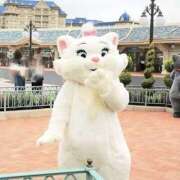 ヒメ日記 2025/07/08 09:00 投稿 もこ ミルキーラテ