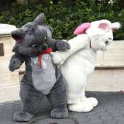 ヒメ日記 2025/07/09 09:24 投稿 もこ ミルキーラテ