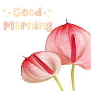 ヒメ日記 2024/12/14 10:48 投稿 みれい 治療院.LOVE 宇都宮店