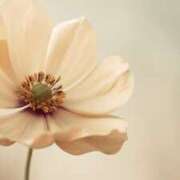 ヒメ日記 2025/05/20 00:03 投稿 みれい 治療院.LOVE 宇都宮店