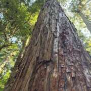 ヒメ日記 2025/07/25 09:57 投稿 みれい 治療院.LOVE 宇都宮店