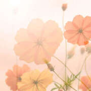 ヒメ日記 2025/09/17 09:18 投稿 みれい 治療院.LOVE 宇都宮店