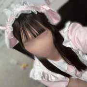 ヒメ日記 2025/05/24 11:17 投稿 こと 三つ乱本館