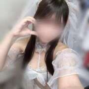 ヒメ日記 2025/06/24 08:37 投稿 こと 三つ乱本館