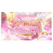 ヒメ日記 2025/08/31 20:33 投稿 こと 三つ乱本館