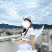 ヒメ日記 2025/10/22 17:41 投稿 こと 三つ乱本館