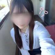 ヒメ日記 2025/11/25 08:49 投稿 こと 三つ乱本館