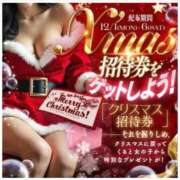 ヒメ日記 2025/12/02 09:07 投稿 こと 三つ乱本館