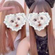 ヒメ日記 2025/12/07 20:07 投稿 こと 三つ乱本館