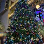 ヒメ日記 2025/12/22 22:07 投稿 こと 三つ乱本館