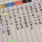 ヒメ日記 2026/01/14 19:17 投稿 こと 三つ乱本館
