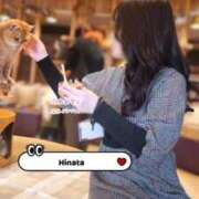 ヒメ日記 2025/05/14 08:32 投稿 柏木　ひなた エテルナ京都