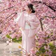 ヒメ日記 2026/03/19 12:01 投稿 柏木　ひなた エテルナ京都