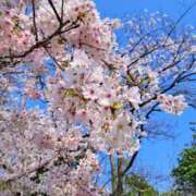 ヒメ日記 2026/04/03 15:02 投稿 柏木　ひなた エテルナ京都