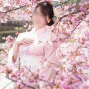 ヒメ日記 2026/04/10 09:01 投稿 柏木　ひなた エテルナ京都