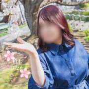 ヒメ日記 2026/04/11 15:16 投稿 柏木　ひなた エテルナ京都