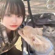 ヒメ日記 2026/04/05 12:00 投稿 明石きらり＠意地悪好き10代ロリ アナラードライ