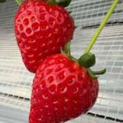 ヒメ日記 2026/02/11 16:21 投稿 みなみ 大塚デリ姫